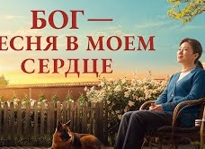Чудо на грани жизни и смерти: история Ди Джея